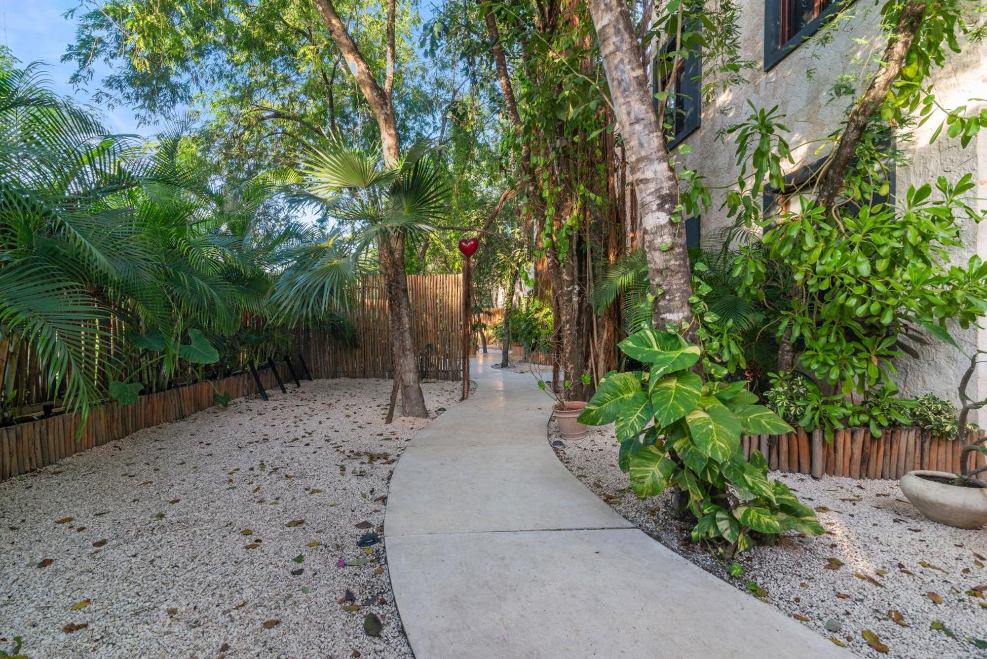 El Rey Loro - Lux 4 Bed Villa @BluedeerTulum Pueblo Buitenkant foto