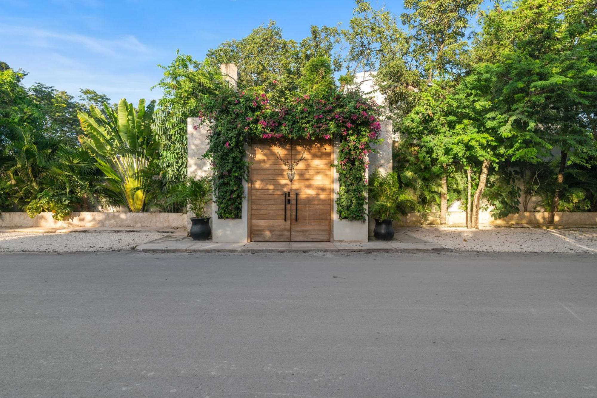 El Rey Loro - Lux 4 Bed Villa @BluedeerTulum Pueblo Buitenkant foto